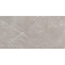 Vitrum Grigio серый 60x120 полированный