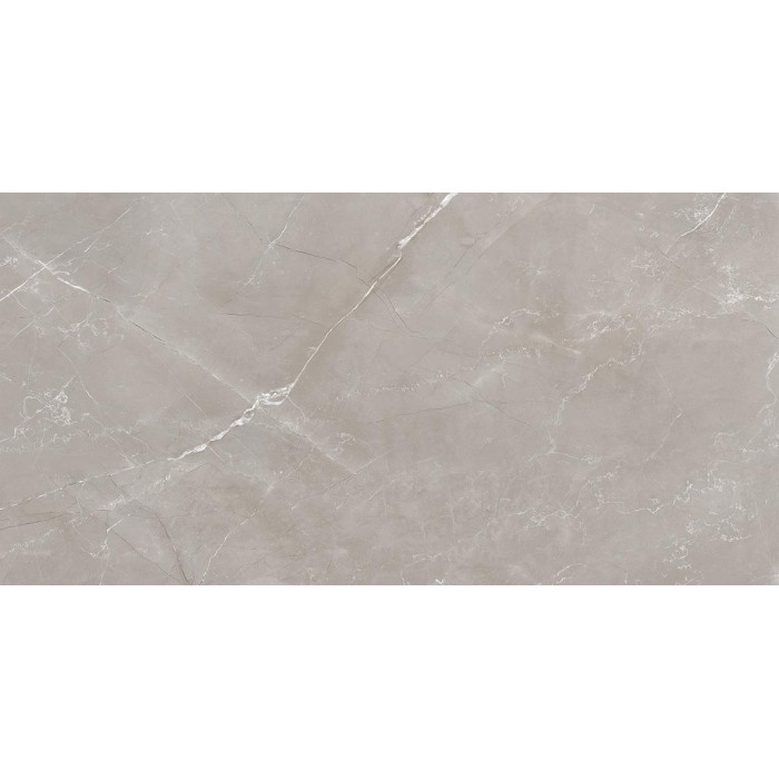 Vitrum Grigio серый 60x120 полированный