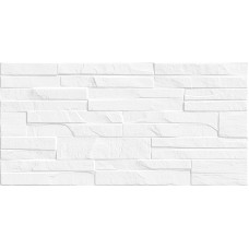 Discover TWU2550DCV10 249*500