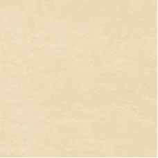 Honey GP2020DNA09  Керамогранит матовый 200*200*8