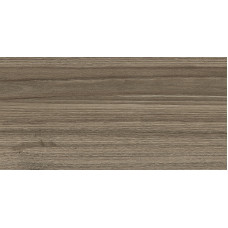 Essense Brown WT9ESS08 Плитка настенная 249*500*8,5