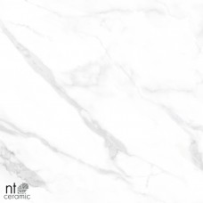 Statuario Endless mat NTT995060M 600x600 матовая