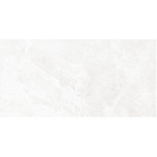 Персей  TWU2550PRS07 249*500