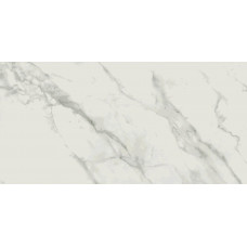 Calacatta Marble (O-CLM-GGP054) полированный, белый 59,8x119,8