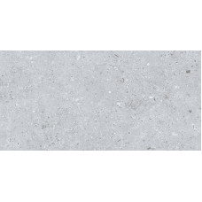 Rockberry Gris 30*60