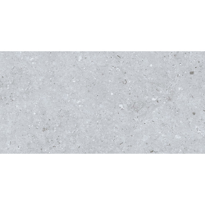 Rockberry Gris 30*60