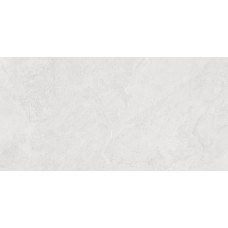 Porter Silver PRO Керамогранит светло-серый LP6012G0171R 59,5х119,1 матовый карвинг R10