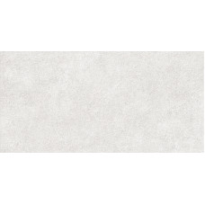 Discover TWU2550DCV04 249*500