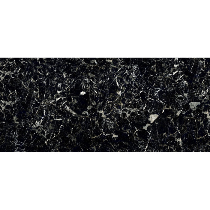 Florida black 60x120