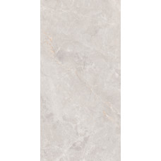 Montera GT1206018106MCR светло-сер.60x120  Керамогранит