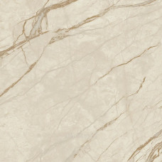 FOREST NATURALE 42x42 керамогранит