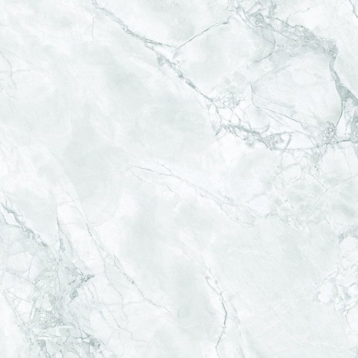 ARABESCATO GREY 800x800 Polished