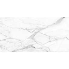 SI01 60х120х10 Непол.Рект