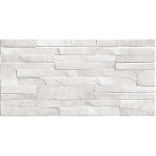 Discover TWU2550DCV14 249*500